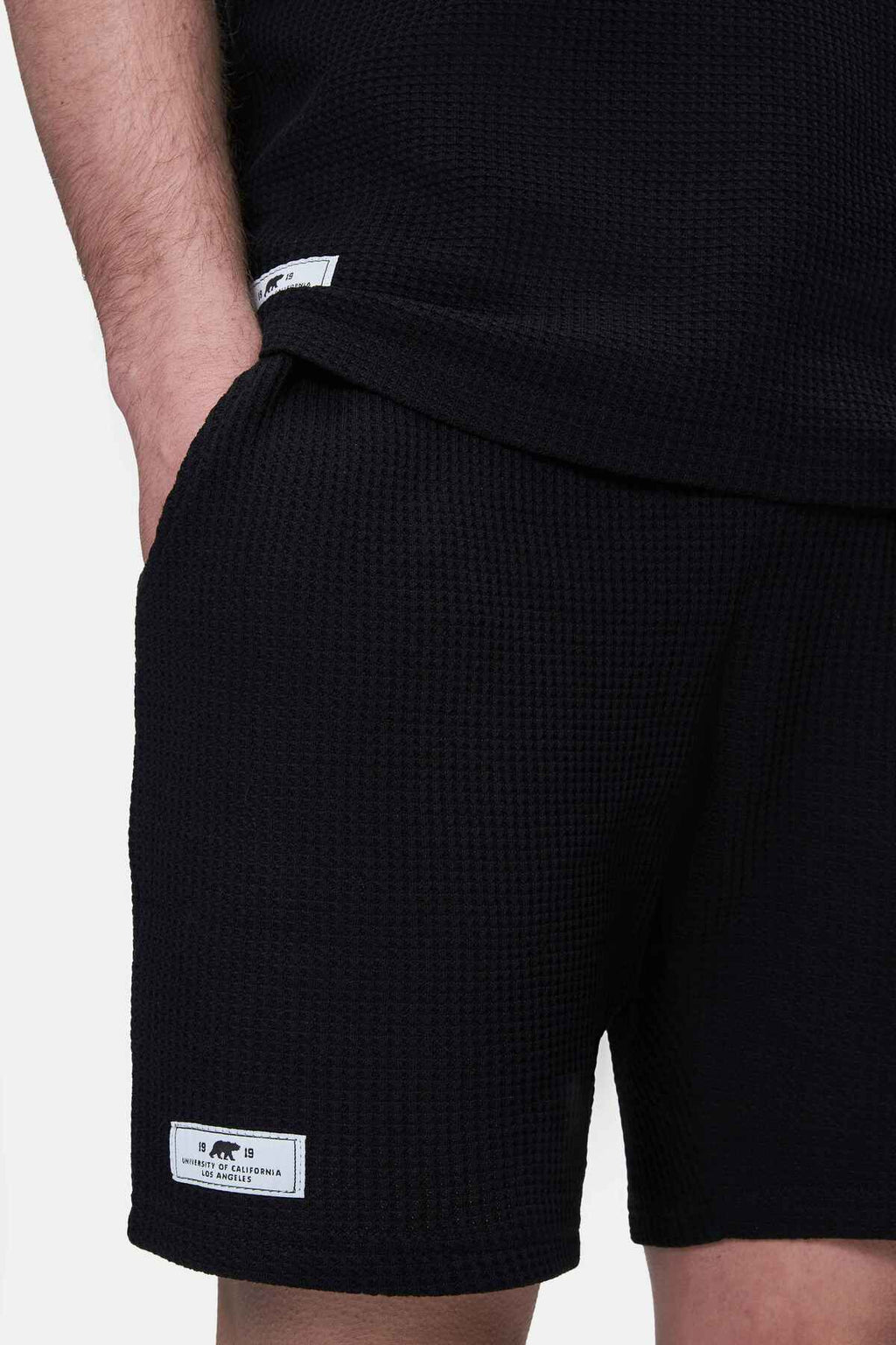 UCLA Pantaloni scurti cu snur si banda elastica in talie, buzunare laterale si imprimeu cu logo discret, Negru, SIERGE