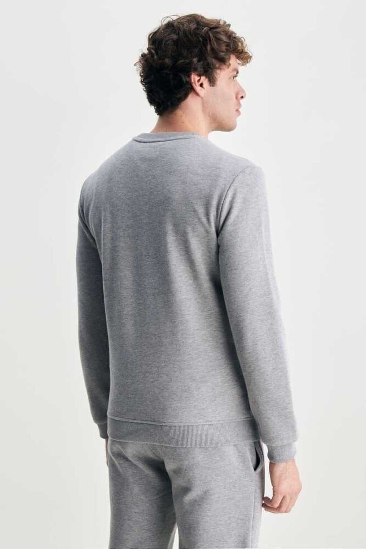 UCLA Bluza cu decolteu la baza gatului, regular fit, imprimeu cu logo, Gri, BALDWIN