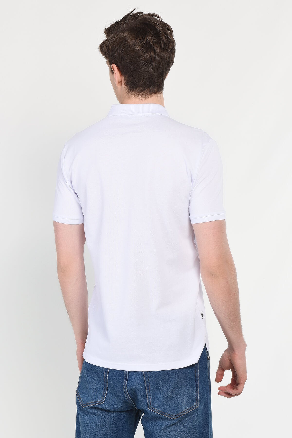 UCLA Tricou cu guler si nasturi, regular fit, logo brodat discret, Alb, LAKES