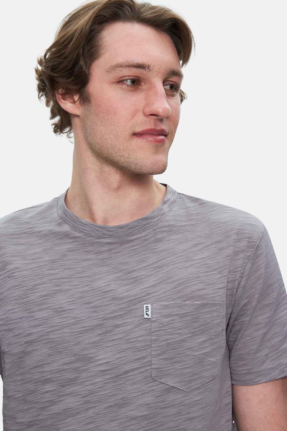 UCLA Tricou cu decolteu la baza gatului, imprimeu cu logo, regular fit, Gri, CALEB