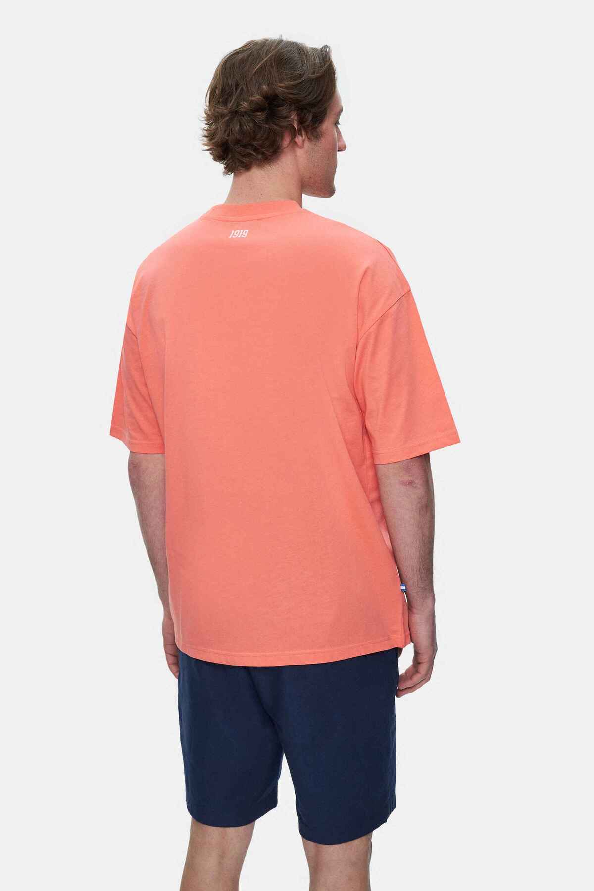 UCLA Tricou cu decolteu la baza gatului, imprimeu cu logo, regular fit, Roz deschis, WEBSTER