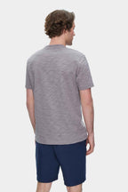 UCLA Tricou cu decolteu la baza gatului, imprimeu cu logo, regular fit, Gri, CALEB