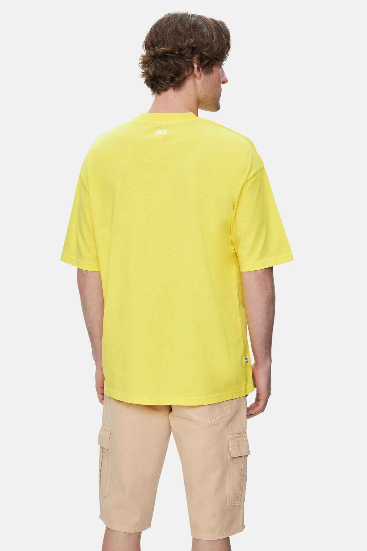 UCLA Tricou cu decolteu la baza gatului, imprimeu cu logo, regular fit, RAYFLOWER, WEBSTER