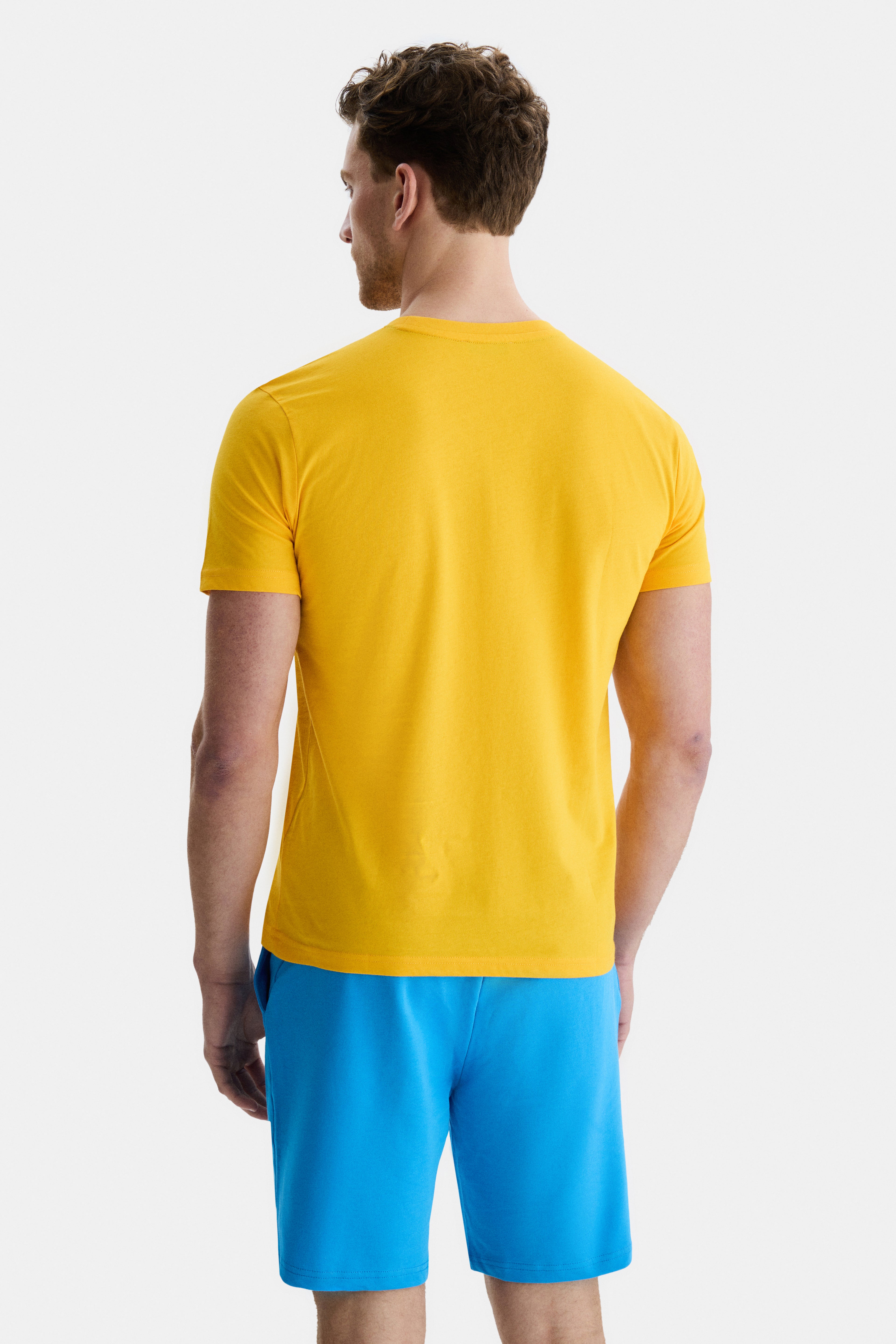 UCLA Tricou cu decolteu la baza gatului, imprimeu cu logo, regular fit, Galben, CULVER