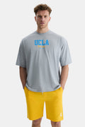 UCLA Tricou cu decolteu la baza gatului, imprimeu cu logo, regular fit, Gri, HUNTER
